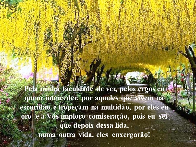 Pela minha faculdade de ver, pelos cegos eu quero interceder, por aqueles que vivem